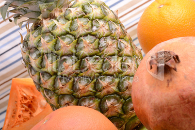 collection of fruit and vegetables. Pineapple, lemon, grapefruit, onion, pumpkin