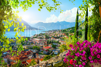 Picturesque view of Kotor