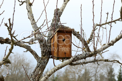 Bird house hanging from the tree with the entrance hole in the shape of a circle
