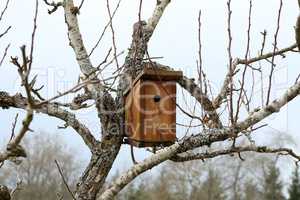 Bird house hanging from the tree with the entrance hole in the shape of a circle