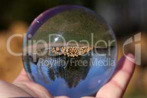 Freshly sawn logs in nature through a glass ball