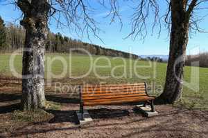 Bench in the park. Wooden bench for rest