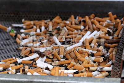 a lot of burnt cigarette butts with some ash