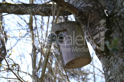 Birdhouse made of concrete hanging on a tree in the forest