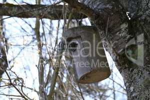 Birdhouse made of concrete hanging on a tree in the forest