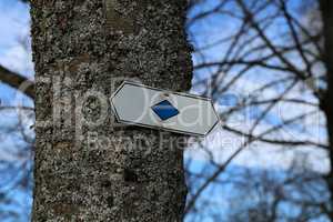 Direction signs on trees in the forest