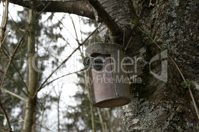 Birdhouse made of concrete hanging on a tree in the forest