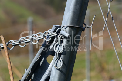 Metal mount vines in vineyards in Germany