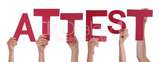 People Hands Holding Word Attest Means Attestation, Isolated Background