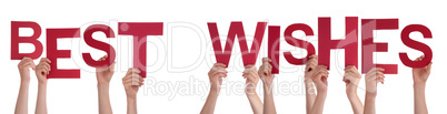 People Hands Holding Word Best Wishes, Isolated Background