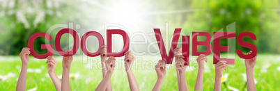 People Hands Holding Word Good Vibes, Grass Meadow