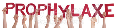 People Hands Holding Word Prophylaxe Means Prophylaxis, Isolated Background