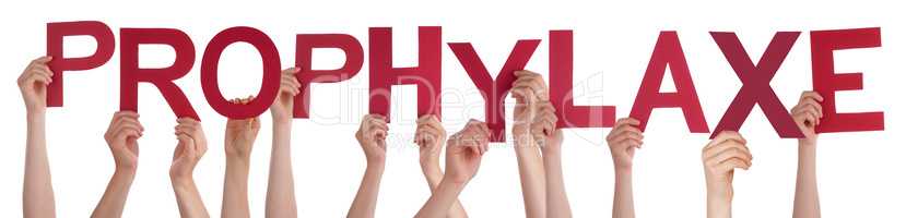 People Hands Holding Word Prophylaxe Means Prophylaxis, Isolated Background