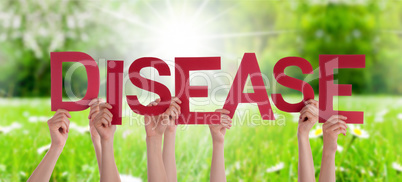 People Hands Holding Word Disease, Grass Meadow