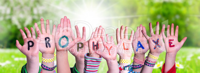 Children Hands Building Word Prophylaxe Means Prophylaxis, Grass Meadow