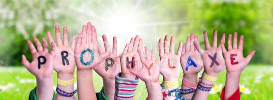 Children Hands Building Word Prophylaxe Means Prophylaxis, Grass Meadow