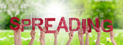 People Hands Holding Word Spreading, Grass Meadow