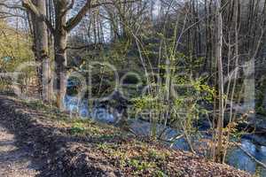 Spring in the wildlife sanctuary Hahnheide - Trittauer Mühlenbach (Trittau mill stream)