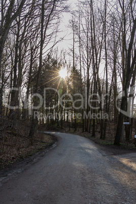 Spring in the wildlife sanctuary Hahnheide