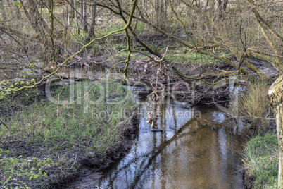 Wildlife Sanctuary Hahnheide - mill stream