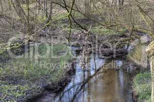 Wildlife Sanctuary Hahnheide - mill stream