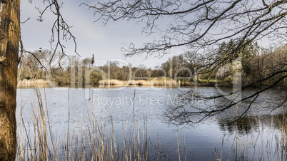 Trittau millpond