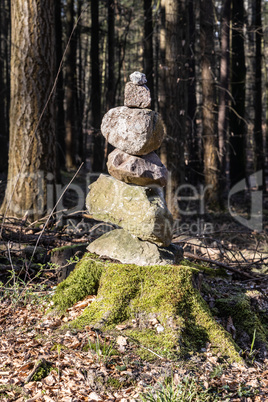 Wildlife Sanctuary Hahnheide - stones