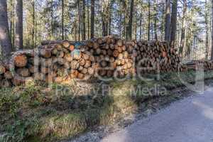 Wildlife Sanctuary Hahnheide - logs