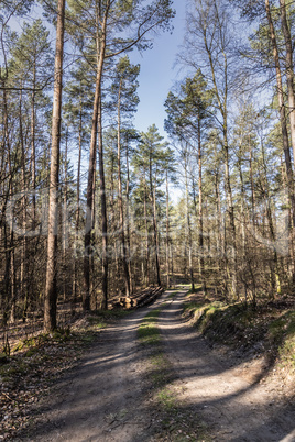 Wildlife Sanctuary Hahnheide - forest track