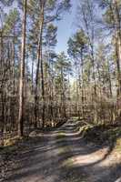 Wildlife Sanctuary Hahnheide - forest track