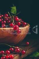 Fresh picked red currants