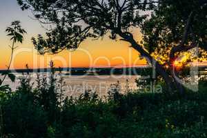 Shape of tree with sunset over the river