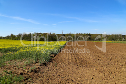 Spring landscape with rapefield and arable land