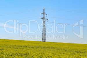 Electricity pylons in an blooming rapeseed field