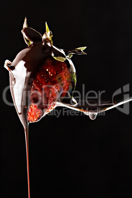 Strawberry pricked on a fork.