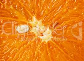 Close up slice of orange.