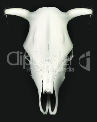 Realistic cow skull with stains and on dark background isolated vector illustration