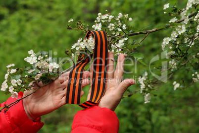 Victory Day. Arrangement of George ribbon and flowering branch