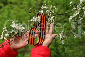 Victory Day. Arrangement of George ribbon and flowering branch