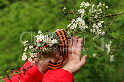 Victory Day. Arrangement of George ribbon and flowering branch