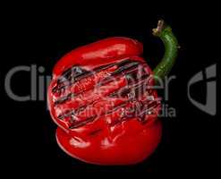 Grilled red pepper on black background