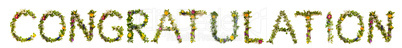 Flower And Blossom Letter Building Word Congratulation
