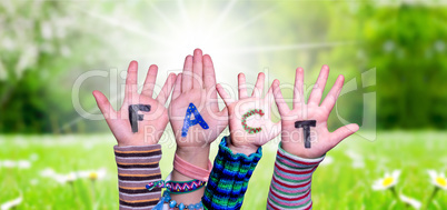 Children Hands Building Word Fact, Grass Meadow