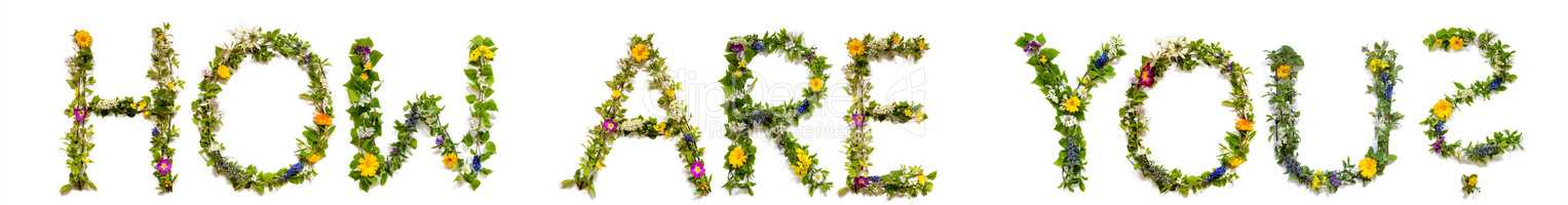 Flower And Blossom Letter Building Word How Are You