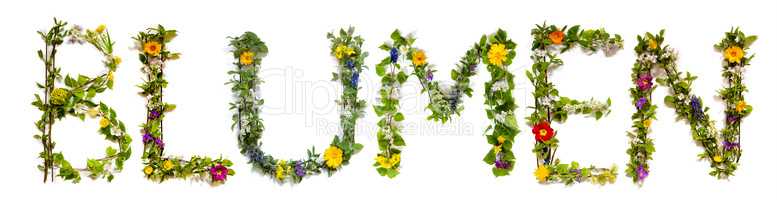 Flower And Blossom Letter Building Word Blumen Means Flowers