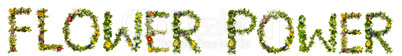 Flower And Blossom Letter Building Word Flower Power