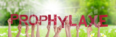 People Hands Holding Word Prophylaxe Means Prophylaxis, Grass Meadow