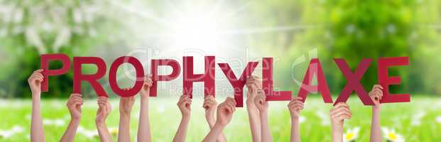 People Hands Holding Word Prophylaxe Means Prophylaxis, Grass Meadow