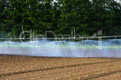 water sprinkler on a field