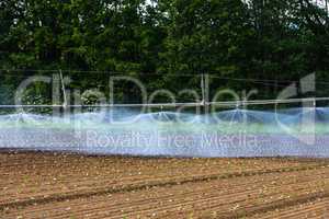 water sprinkler on a field